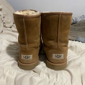 Chestnut Uggs